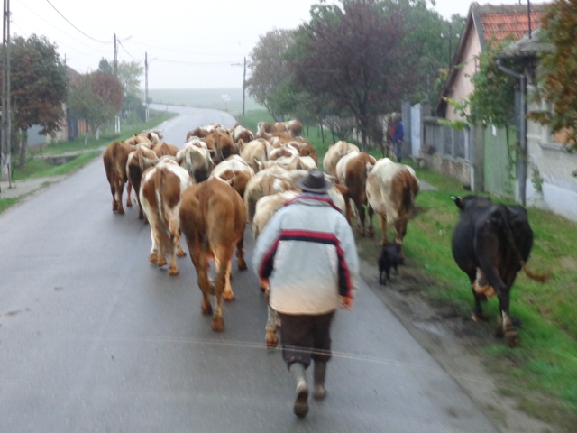 Őszi túra a Tatárhavasra